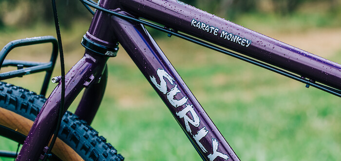 Frame detail on a custom-built Surly Karate Monkey bicycle in Eggplant, standing in a field of green.