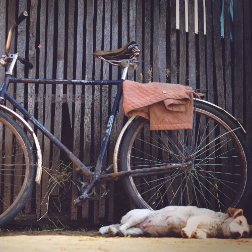should i buy a bicycle
